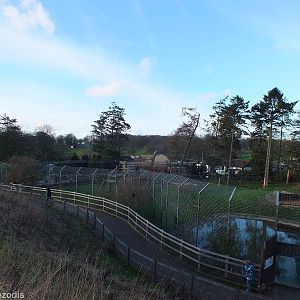 Siberian Tiger Enclosure
