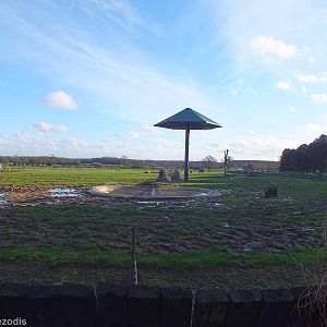 Asian Elephant Paddock