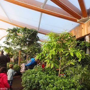 View in the Butterfly House
