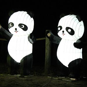 Pandas