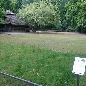 Chapman zebra enclosure