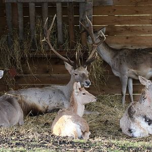 All Together Now, All Together Now