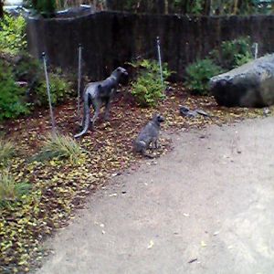 Cheetah interpretive statues