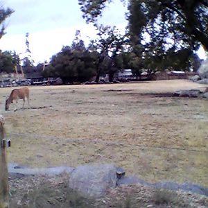 Main savanna overlook