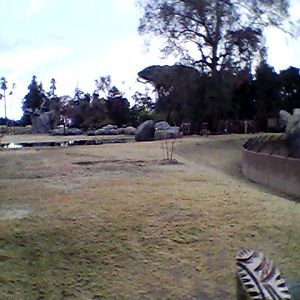 Main savanna exhibit