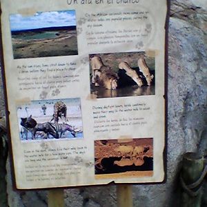 Savanna waterhole interpretive sign