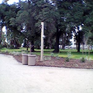 Africa expansion area