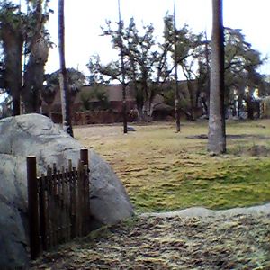 African elephant exhibit overlook