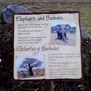 Elephants and baobabs interpretive sign