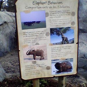 Elephant behavior interpretive sign