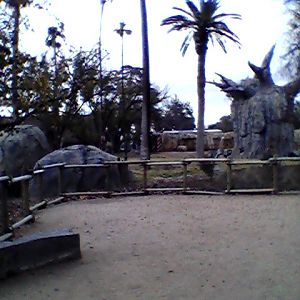 Elephant exhibit overlook