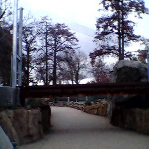 Lion transfer bridge