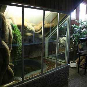 Anaconda exhibit