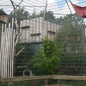part of the Clouded leopard exhibit