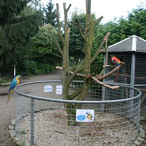 Macaw exhibit