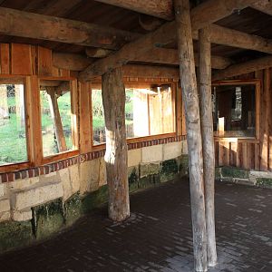 Anteater viewing area (December 30th, 2015)