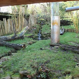 Anteater enclosure (December 30th, 2015)