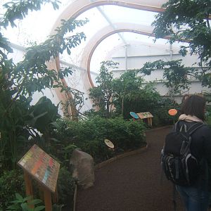 View inside Butterfly House
