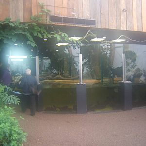 View inside Butterfly House