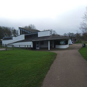 View of Californian Sealion exhibit