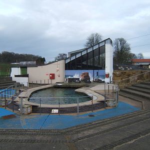 View of Californian Sealion exhibit