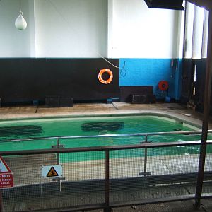 View of Californian Sealion exhibit