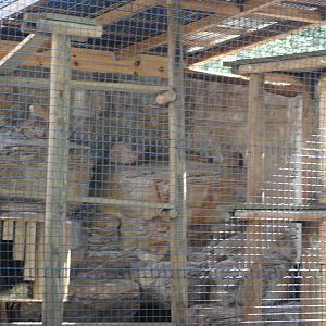 Fossa Enclosure