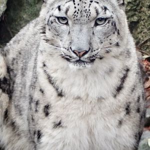 Dec. 2015 - Cat Canyon - Renji