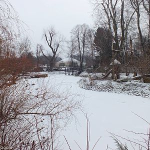 Icy Landscape at the Zoo