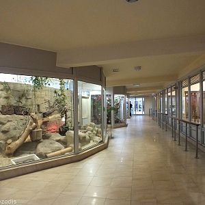 View Inside Bongo and Giraffe House