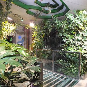 Entrance Area in the Newly Renovated Aquarium