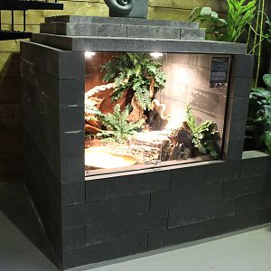 Enclosure Reticulated python