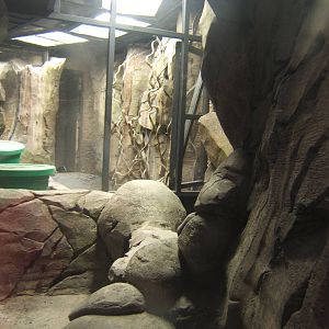 View inside the Herp Vivs