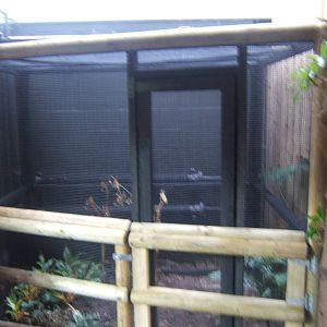 New exhibit in Butterfly House currently empty