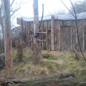 Australian walk-through aviary