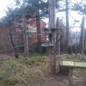 Australian walk-through aviary