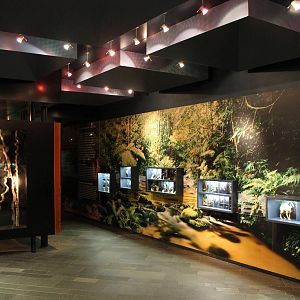 Americasa - Biodiversity education