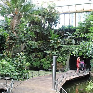 Americasa - Main tropical walkthrough overview 1