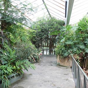 Americasa - Main tropical walkthrough overview 2