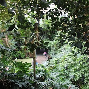 Americasa - View from the second floor of the tropical walkthrough