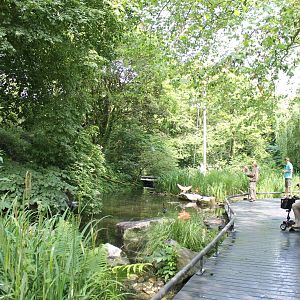 America - South-American free-flight aviary 1