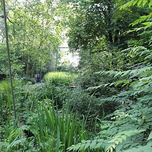 America - South-American free-flight aviary 2