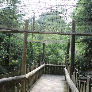 America - Great grey owl aviary