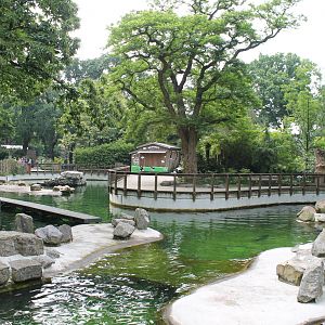 America - Pinniped enclosure