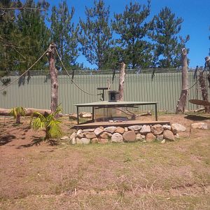 Ruffed Lemur enclosure