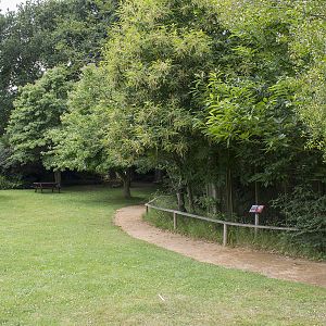 Very well-hidden tamarin aviaries