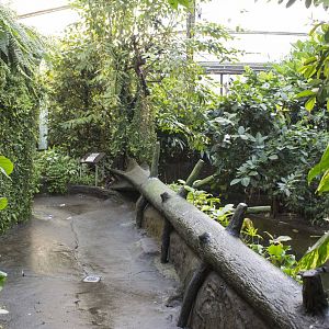 Burgers Mangrove (November 12th, 2015)