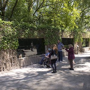 Small carnivore exhibits (May 23th, 2015)