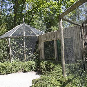 Tamarin exhibits (May 23th, 2015)