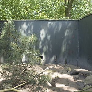 Meerkat exhibit (May 23th, 2015)